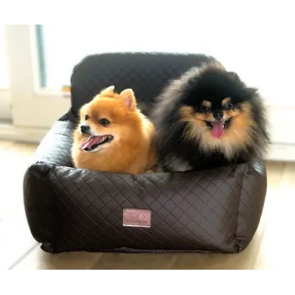 cosy car aline T2 2 chiens