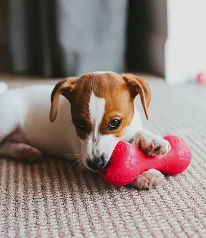 Jouets