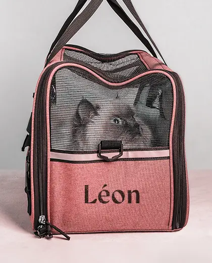 Sac de transport pour chat