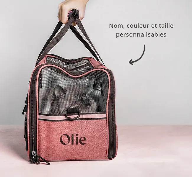 Sac de transport pour chien